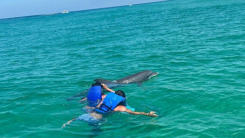 Panama City Beach Dolphin Tours | 4 Hour "Have It Your Way" Trip